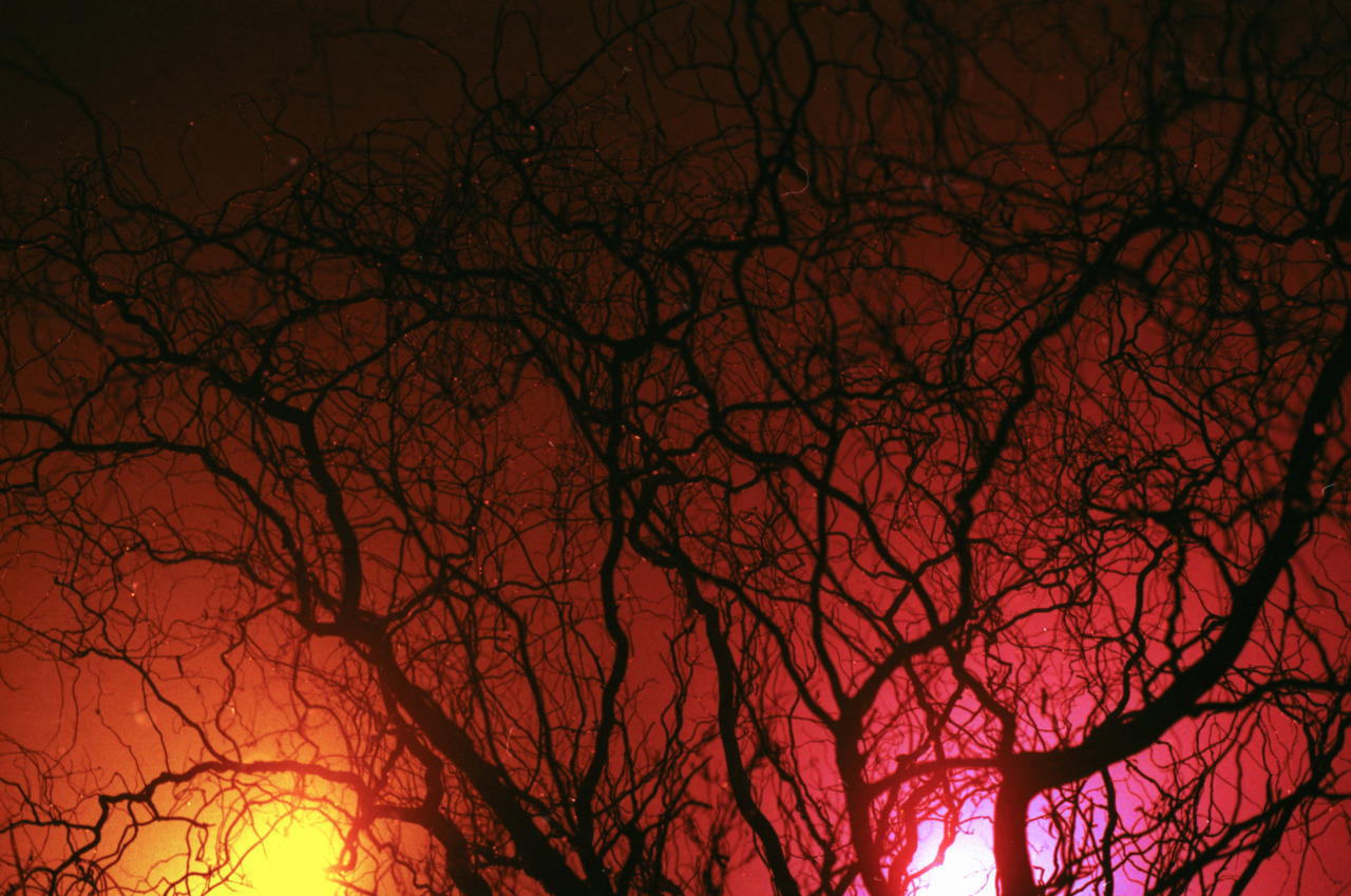 antonnivalis:  new year’s eve 15/16light reflections in a dusty night, berlin 