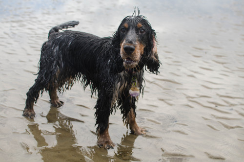 sidetongue: he’s got a lot to say 