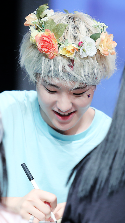 kwallpapers - ❀ seventeen x flower crown wallpapers ✿for...