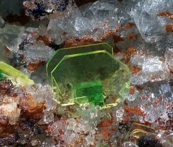 underthescopeminerals:  Uranospinite, Torbernite