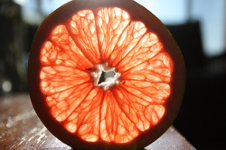 foodffs:  Homemade Grapefruit Soda  Really nice recipes. Every hour.   