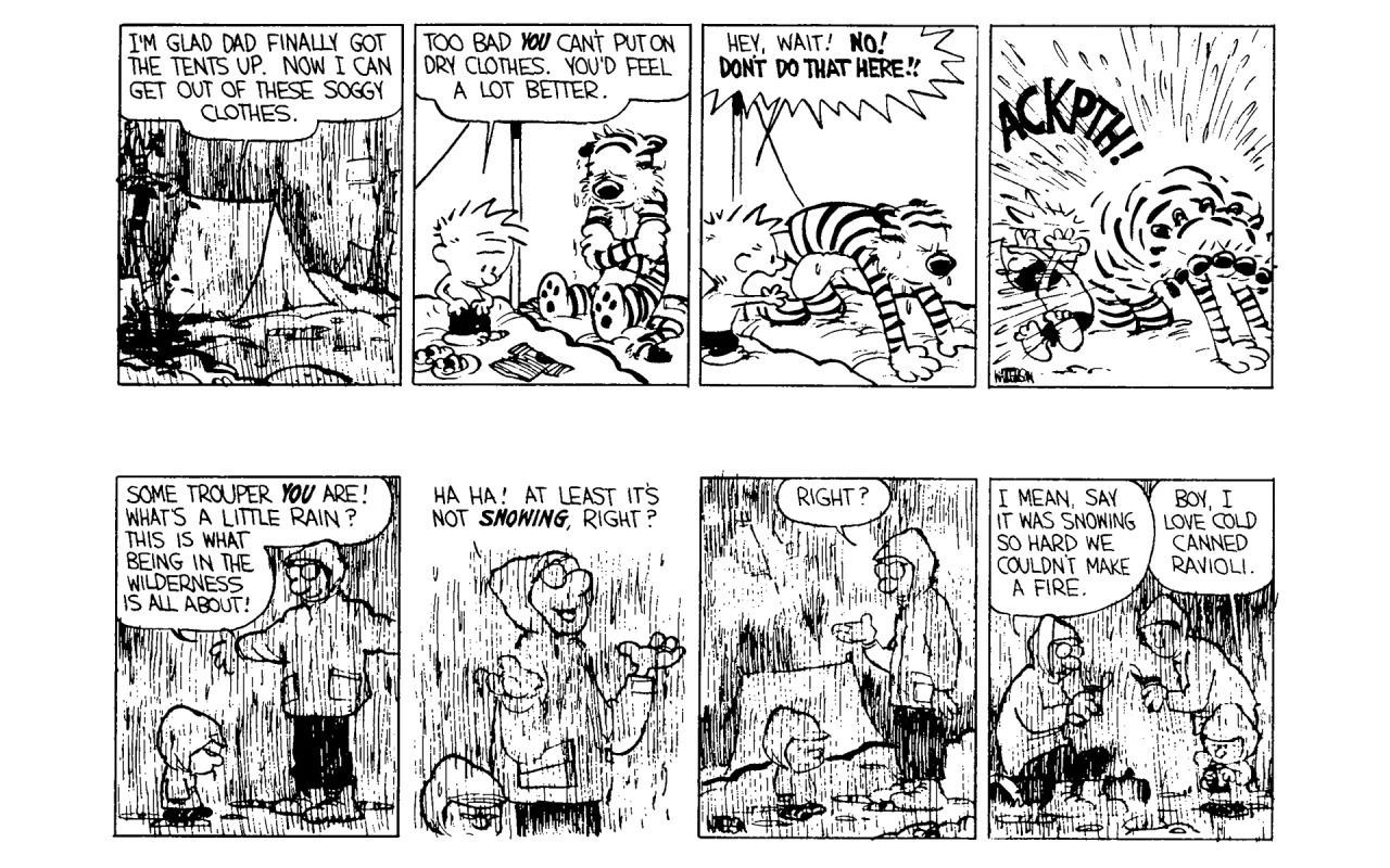 Calvin and hobbes camping