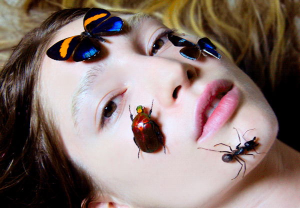 mrgif:  artwerk666 + bugs = good day 