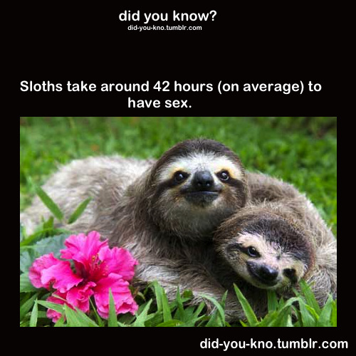 did-you-kno:  Source