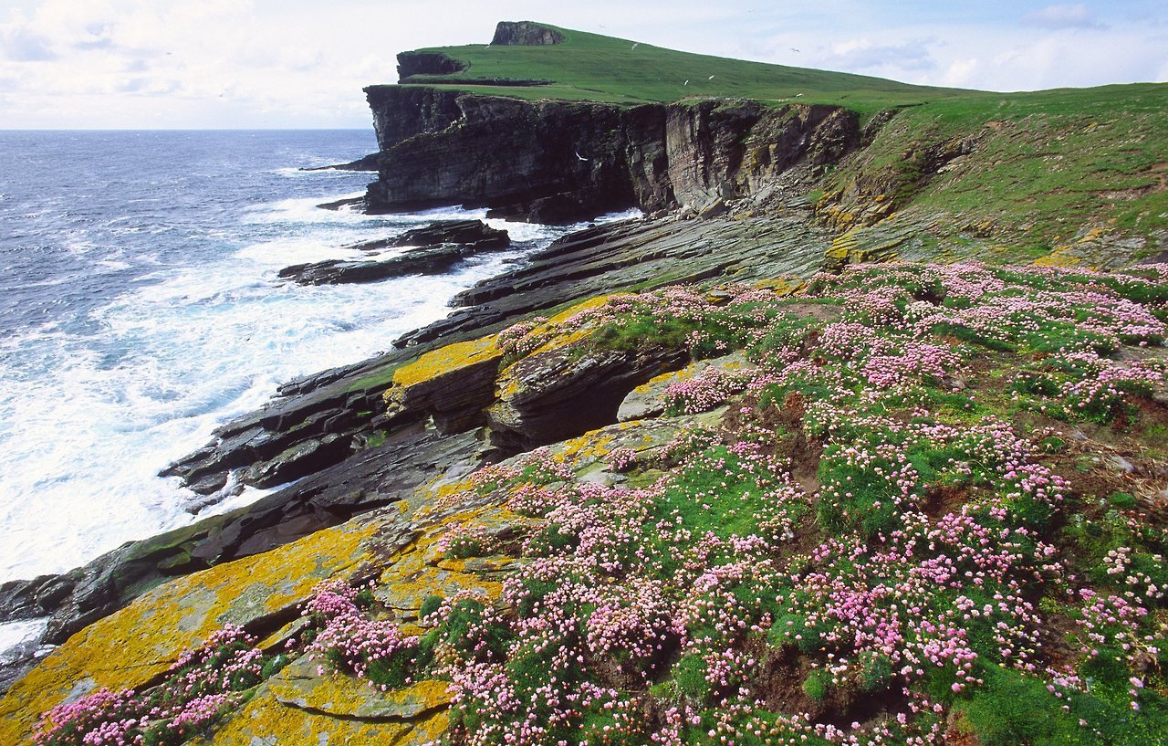 pagewoman:  Noss National Nature Reserve, Isle of Noss, Bressay, Shetland, Scotland