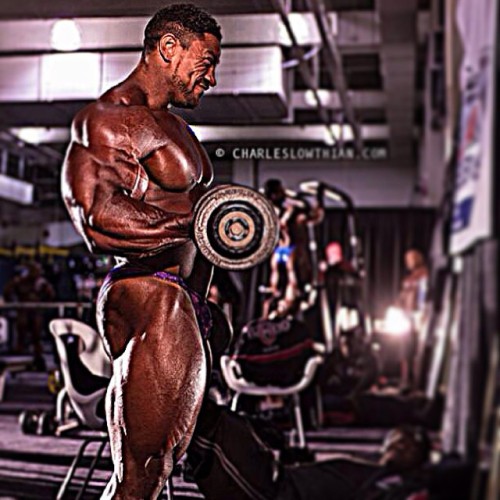 drwannabe:  Roelly Winklaar