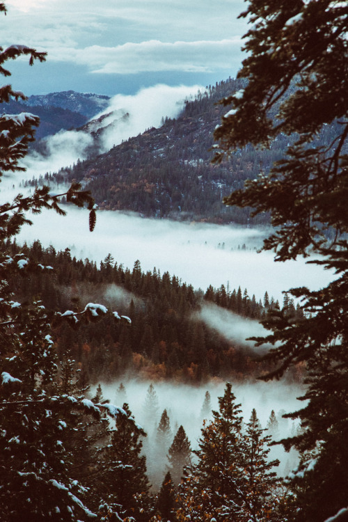 be-a-serial-killer:  vintage paradise 