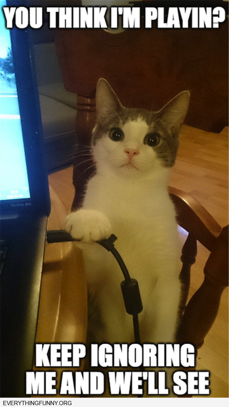 cute-overload:  You Think I’m Playing? Keep Ignoring Me And We’ll Seehttp://cute-overload.tumblr.com