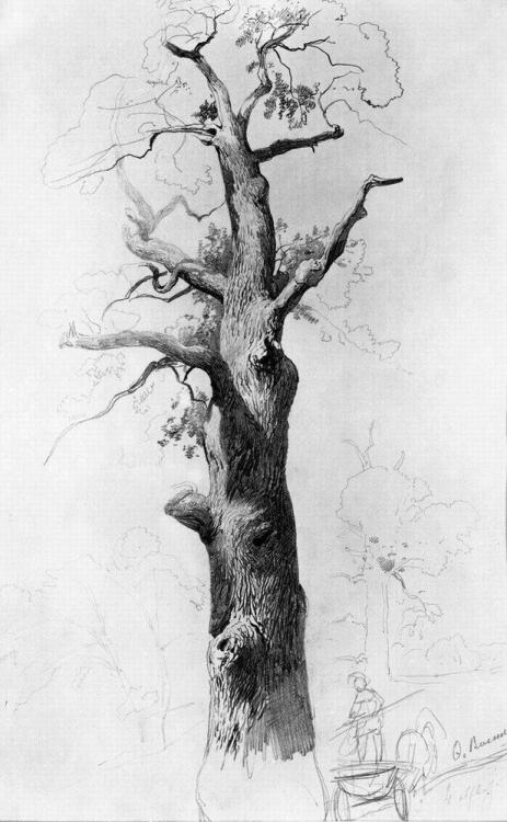 artist-vasilyev:The Trunk of an Old Oak, 1869, Fyodor Vasilyev