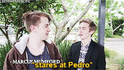 Pedrazar: A Summary