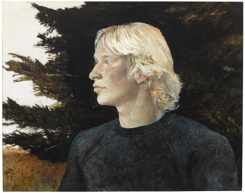 Andrew Wyeth - Hawking (1978)