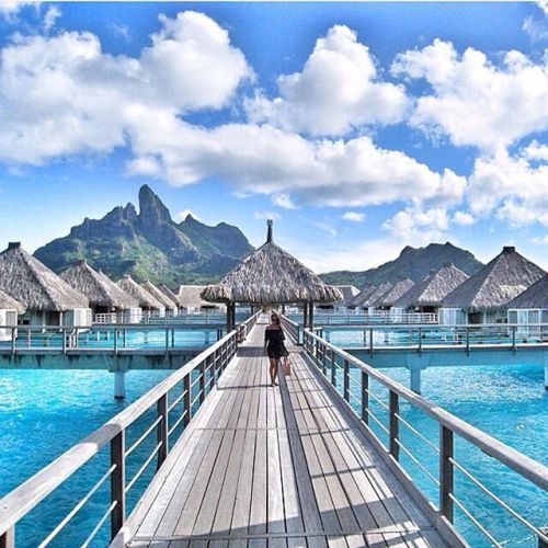 leinetagrm:  one day I will come to you #borabora but until then il have to keep dreaming @elitepass