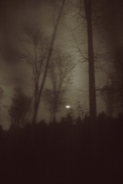 activitesparanormales: Pictorialistic Digitalistic Forestisfrom NEMORIVAGUS solo exhibition, 2012