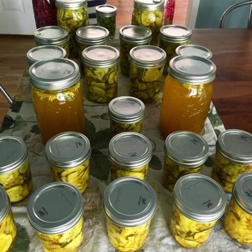 Sunday: Not bad first pickling of the season 20 jars of pickles and 2 cabbage. So much more to come.