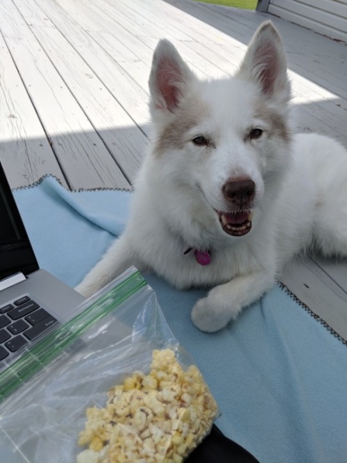 She&rsquo;s doing a very good job of keeping my popcorn me company.