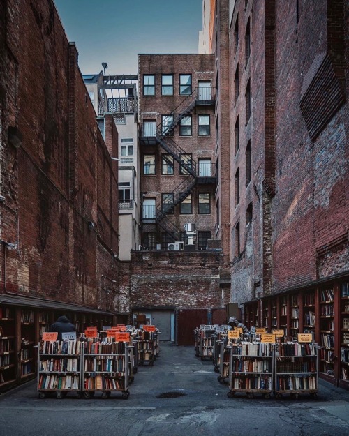 utwo: Brattle Book Shop Boston since 1825 © ｌａｕｒｅｎ 