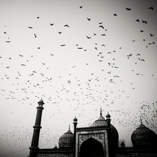 Black and White Photography of India (via Fubiz)