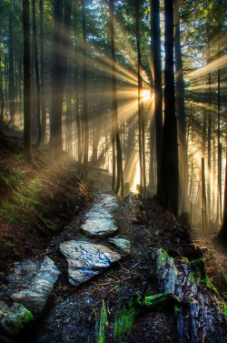 bluepueblo:  Sunrays, Ketchikan, Alaska photo