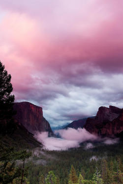 mxuntain:  Pink Tunnel View 