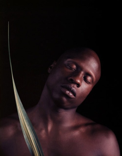 Rest in Peace,KEN MOODYBeautiful model captured so fabulously by Robert Mapplethorpe has died, Tuesd