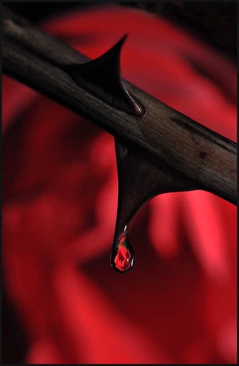 The meanderings of an open mind and heart...