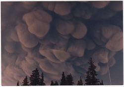 coolthingoftheday:Different types of clouds.1.
