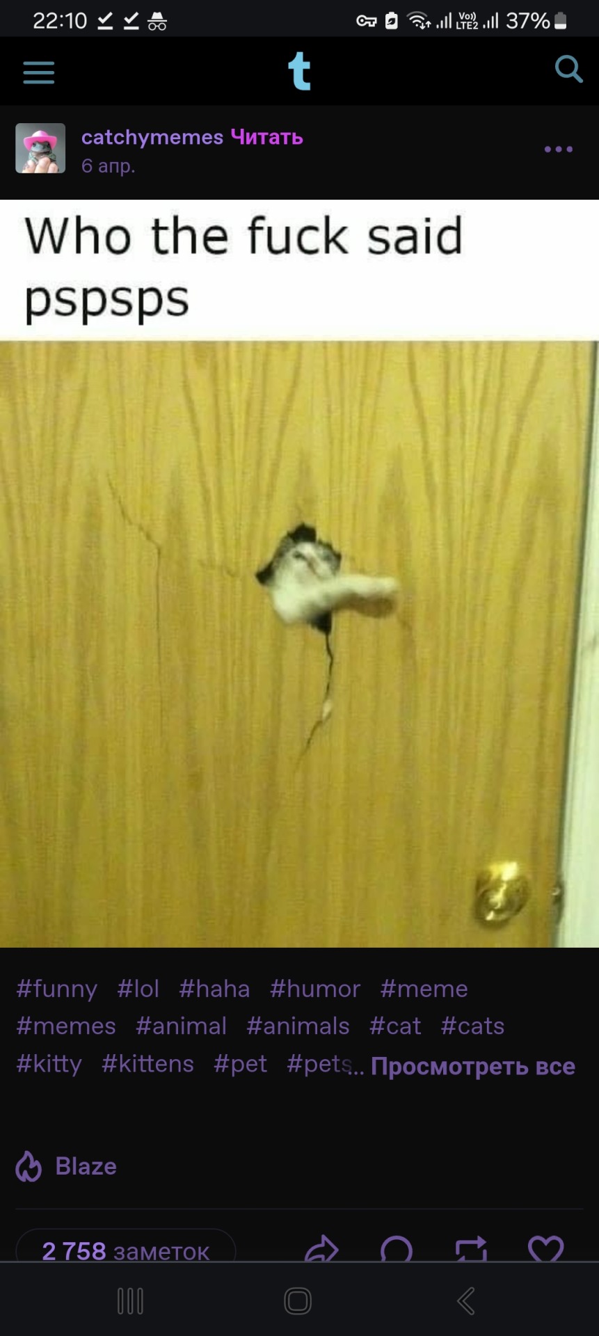 ID Stars. Screenshot of the Tumblr post. In the picture, the cat breaks through the door in the middle. At the top is the inscription "Who the fuck said pspsps".