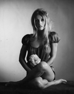  Sharon Tate 