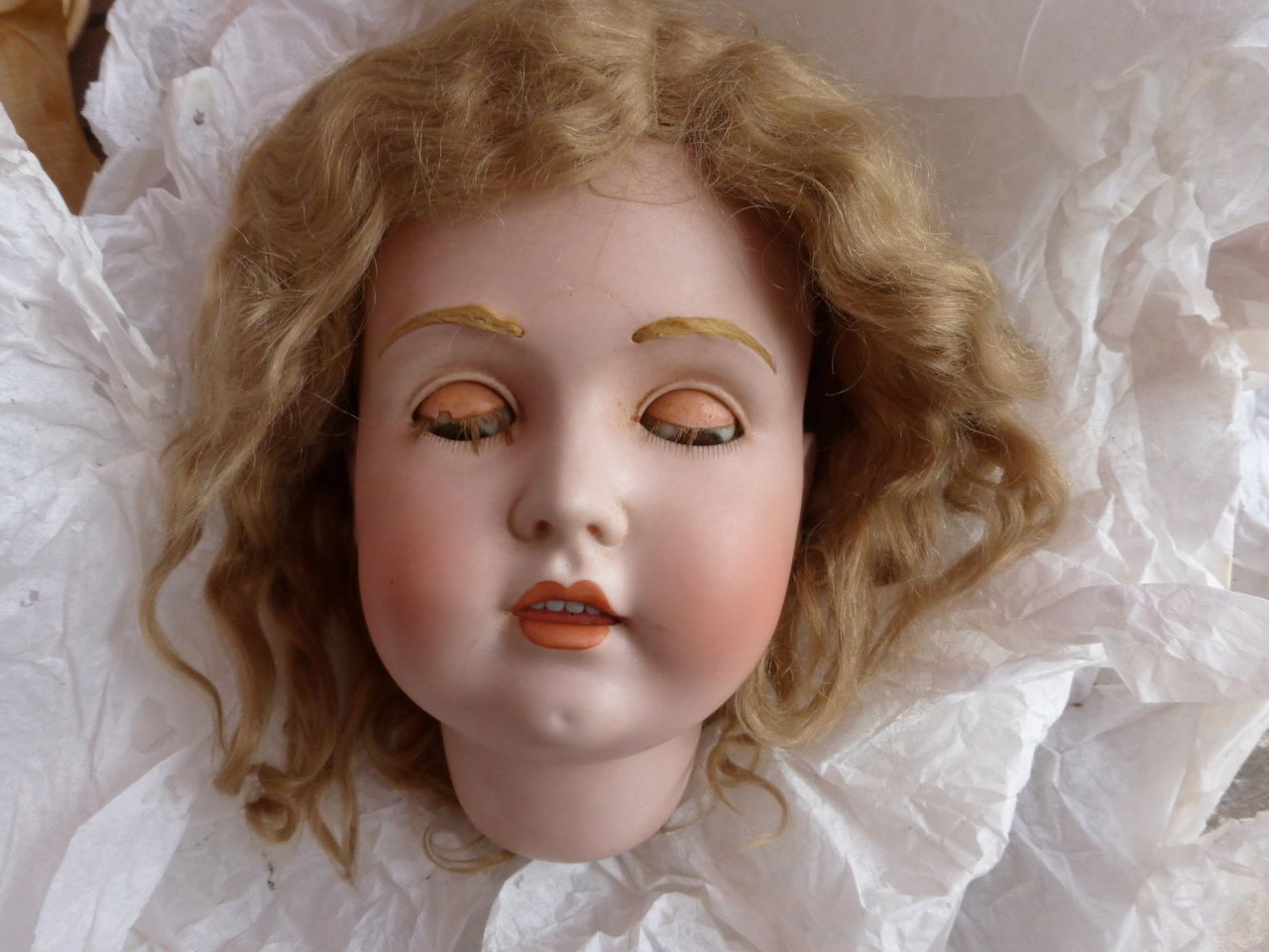 hazedolly:  Antique bisque doll head with fur eyebrows and mohair wig Photo credit: