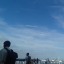 leavlet