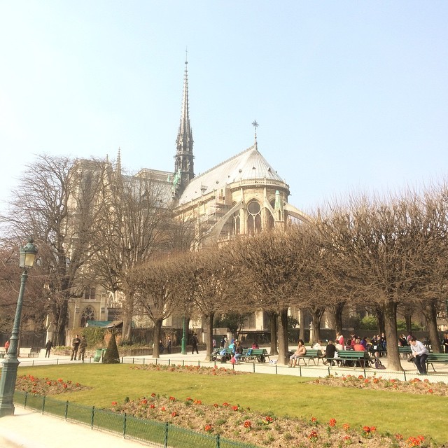 at Cathédrale Notre-Dame de Paris