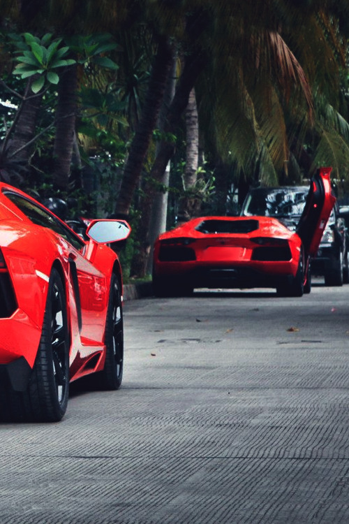 phuckindope:  ✯ 