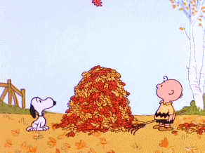 Reblog If You Are An Autumn Blog... 