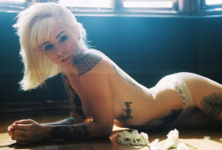 alysha:  alysha nett by tamara lichtenstein