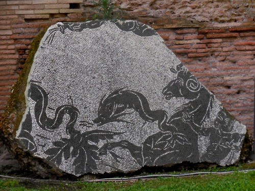 Mosaici pavimentali, Terme di Caracalla, Roma, 2019.