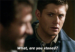 Thegreatgherkin87:  Everyone On Tumblr…Ever 