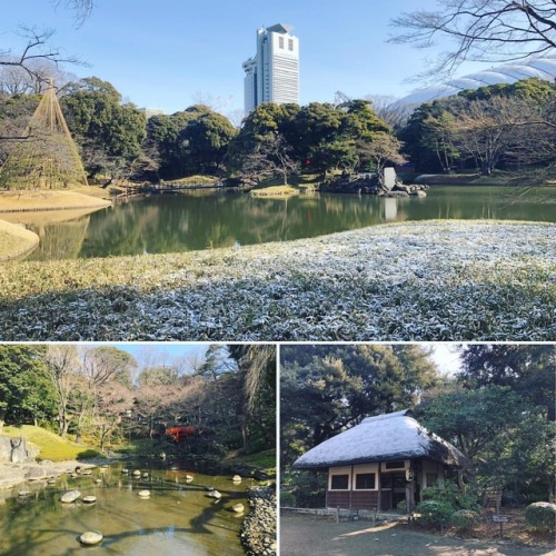 ⛳️1095. 小石川後楽園 Koishikawa Korakuen Garden, Bunkyo-ku, Tokyo 雪残ってるかな…❄️という期待を抱きながらまずは小石川後楽園へ！ …全然残ってな