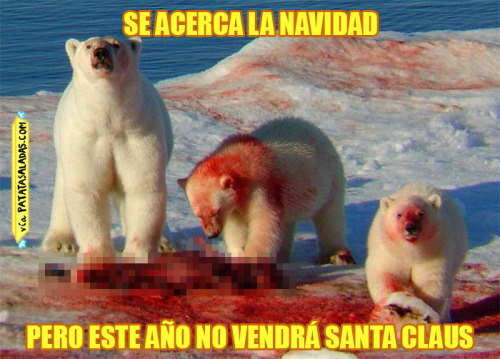 Se acerca la navidadY esta familia de osos polares ya lo está celebrando.