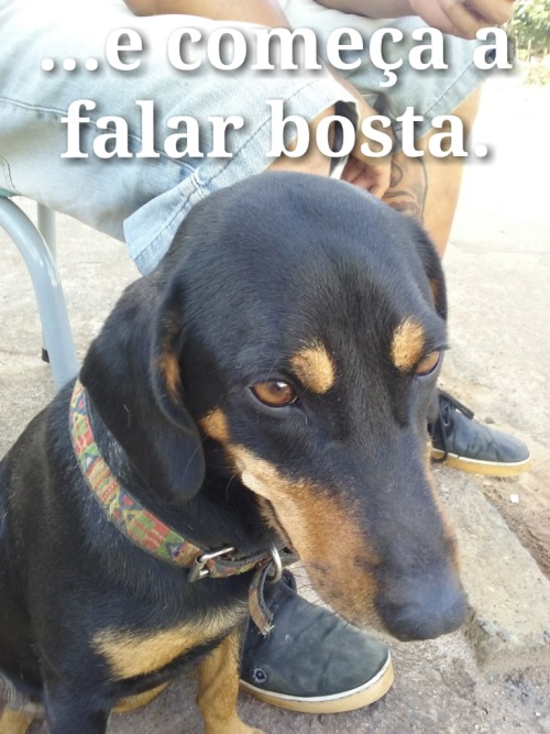 mebjaaa:  gente kkkk