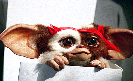 Gizmo Gremlins Explore Tumblr Posts And Blogs Tumgir