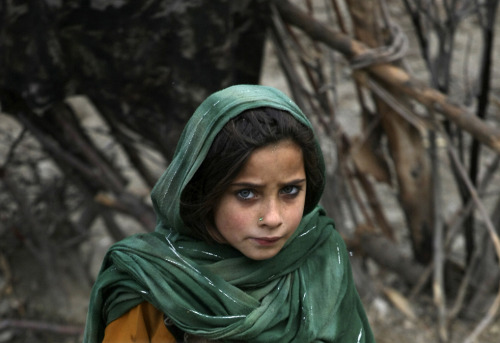 cahpricorn:wildwillo:An Afghan girl with some strikingly beautiful eyes…Look at that stare…It’s dead