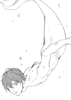 nnanaseharu14:  Free! Log詰め 3 