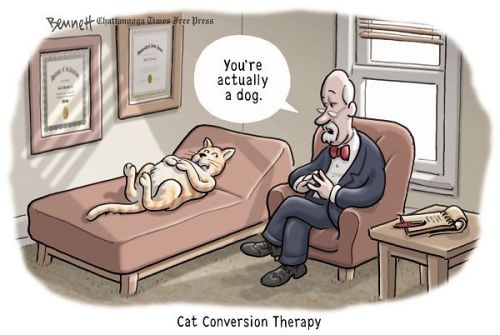 cartoonpolitics: (refers to ‘gay conversion’ or ‘reparative’ therapy) .. (ca