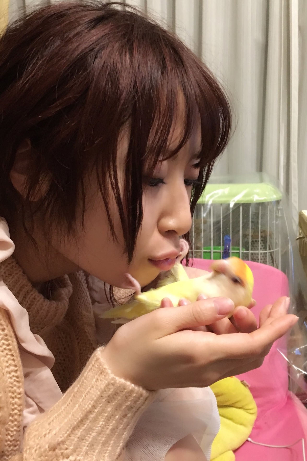 akanemachurida:  Twitter 17/03/27 Title: Stop it! 1 Papitan give me a kiss. 2 Stop