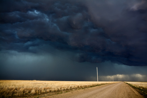 ted:  Photos from a real-life storm chaser: porn pictures