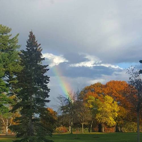 lavenderwaterwitch: Beautiful Rainbow I spotted on my way home from work Instagram – hillaryel