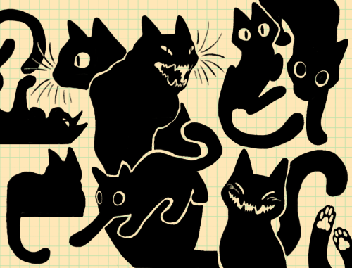 The love I have for black cats in a single sheet