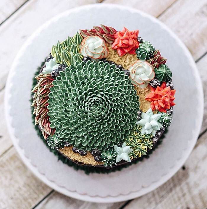 ladiosa-jade:  bibidebabideboo:  (Succulent Cakes By Ivenoven Will Make Every Succulent