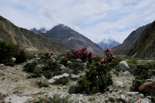 The first day of hiking wasn’t too tough. 20 km on flat ground with some nice scenery in the distanc