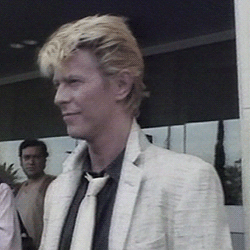 nevermore505: Bowie ♥♥
